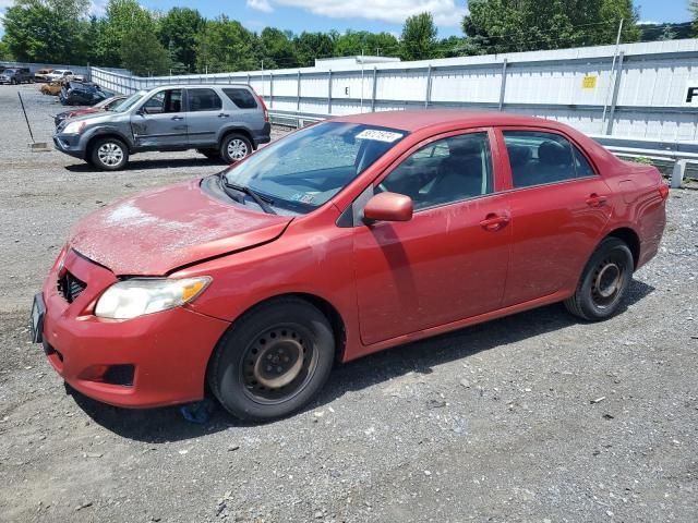 2010 Toyota Corolla Base