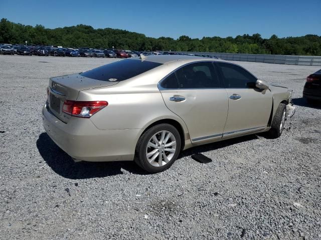 2010 Lexus ES 350