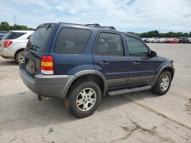 2004 Ford Escape XLT