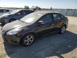 Ford Focus se Vehiculos salvage en venta: 2013 Ford Focus SE