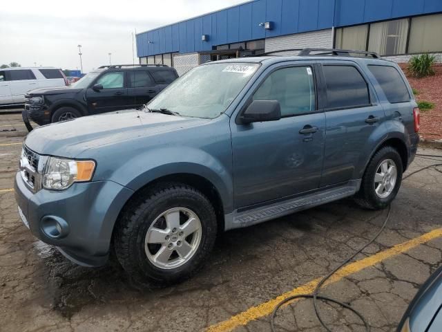 2011 Ford Escape XLT