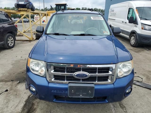 2008 Ford Escape XLT