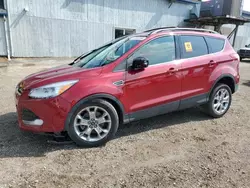 Salvage vehicles for parts for sale at auction: 2013 Ford Escape SEL