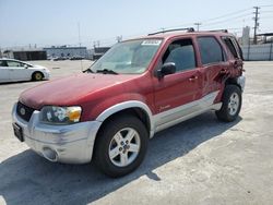 Salvage cars for sale at Sun Valley, CA auction: 2006 Ford Escape HEV