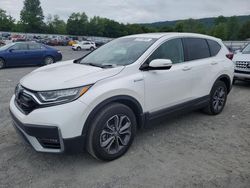 Salvage cars for sale at Grantville, PA auction: 2022 Honda CR-V EXL
