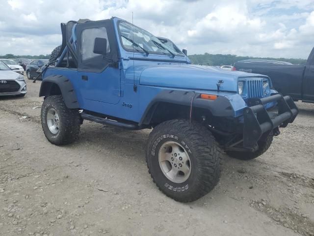 1989 Jeep Wrangler / YJ