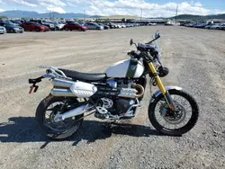Salvage motorcycles for sale at Helena, MT auction: 2019 Triumph Scrambler 1200 XE