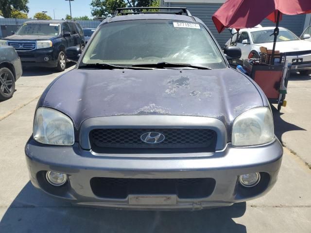 2004 Hyundai Santa FE GLS