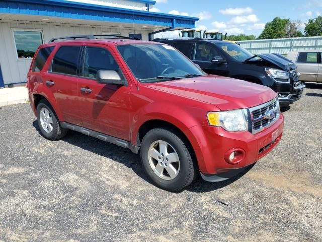 2011 Ford Escape XLT