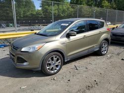 Salvage cars for sale at Waldorf, MD auction: 2013 Ford Escape SEL