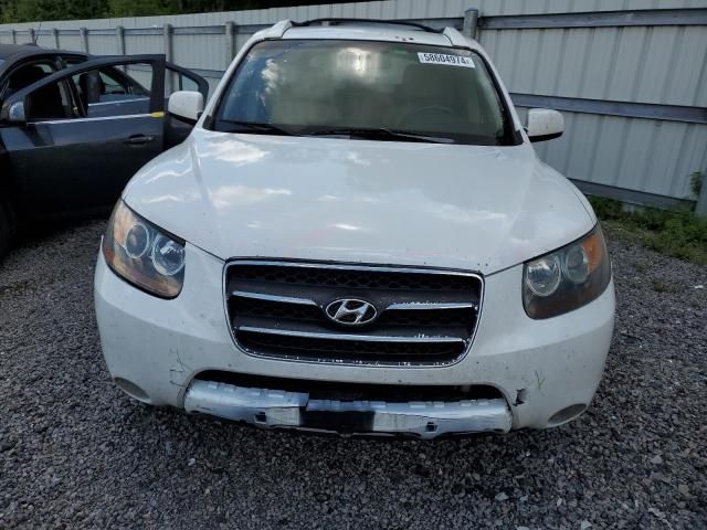 2007 Hyundai Santa FE SE