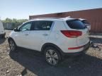 2014 KIA Sportage EX