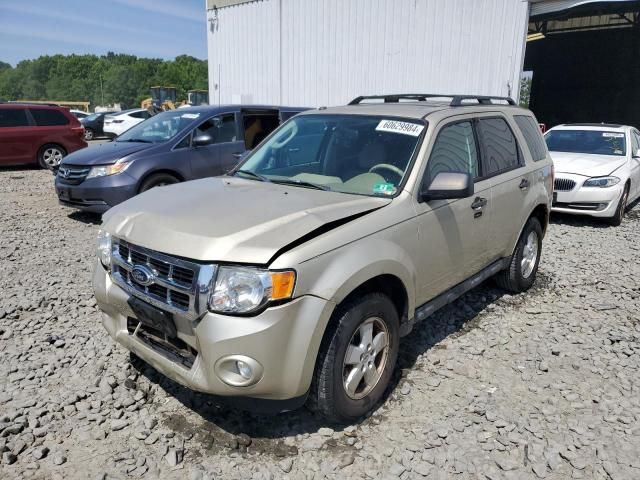 2012 Ford Escape XLT