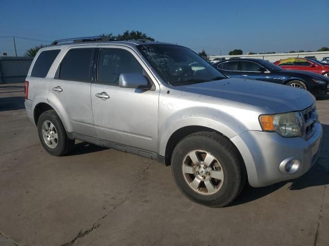 2011 Ford Escape Limited