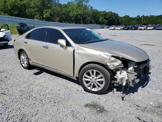 2010 Lexus ES 350