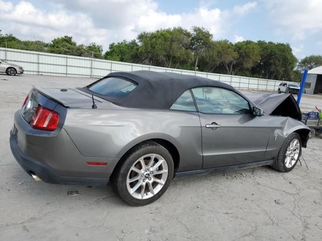 2010 Ford Mustang