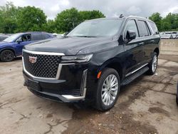 Cadillac Escalade Luxury salvage cars for sale: 2023 Cadillac Escalade Luxury