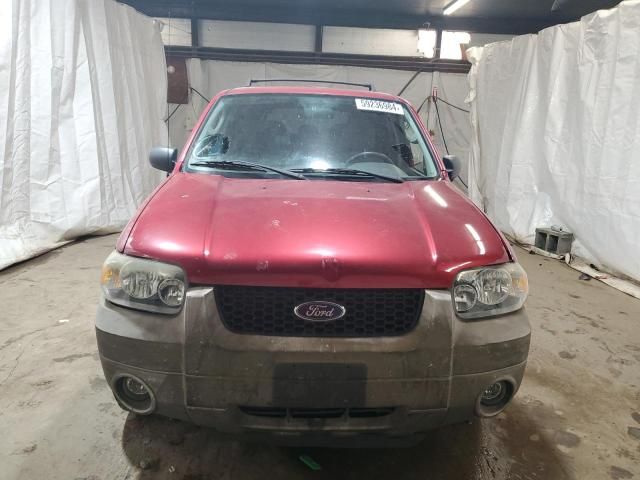 2006 Ford Escape XLT