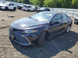 Toyota Camry le salvage cars for sale: 2023 Toyota Camry LE