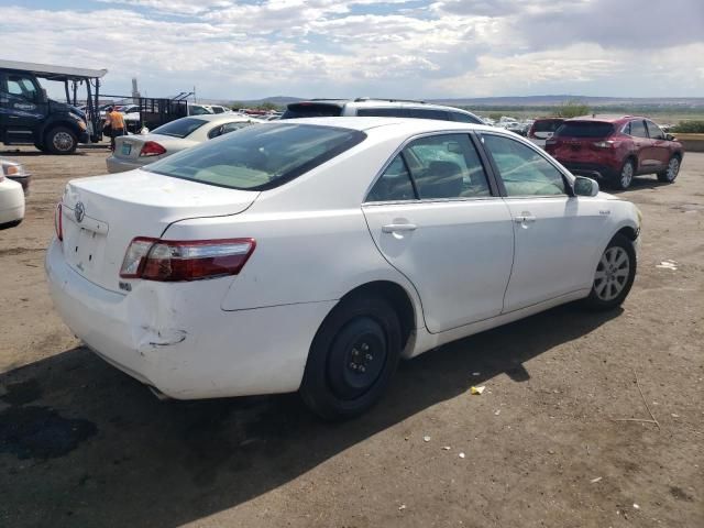 2009 Toyota Camry Hybrid