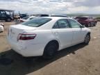 2009 Toyota Camry Hybrid