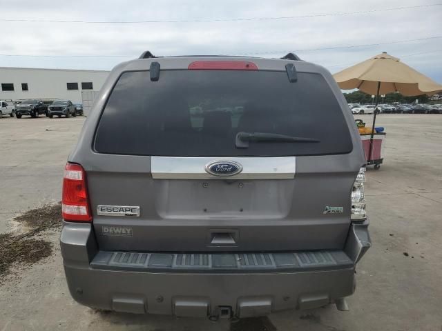 2010 Ford Escape Limited