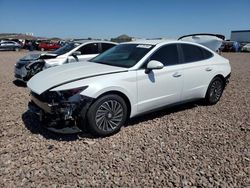 2023 Hyundai Sonata Hybrid en venta en Phoenix, AZ