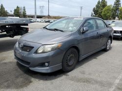 Vehiculos salvage en venta de Copart Rancho Cucamonga, CA: 2009 Toyota Corolla Base