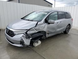 Rental Vehicles for sale at auction: 2024 Honda Odyssey EXL