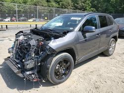 Toyota rav4 xle Premium salvage cars for sale: 2020 Toyota Rav4 XLE Premium