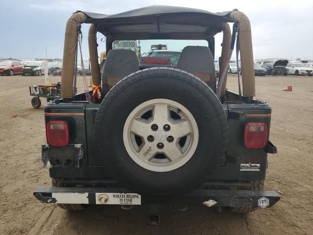 1995 Jeep Wrangler / YJ Sahara