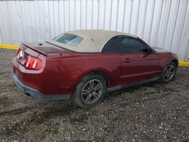 2010 Ford Mustang