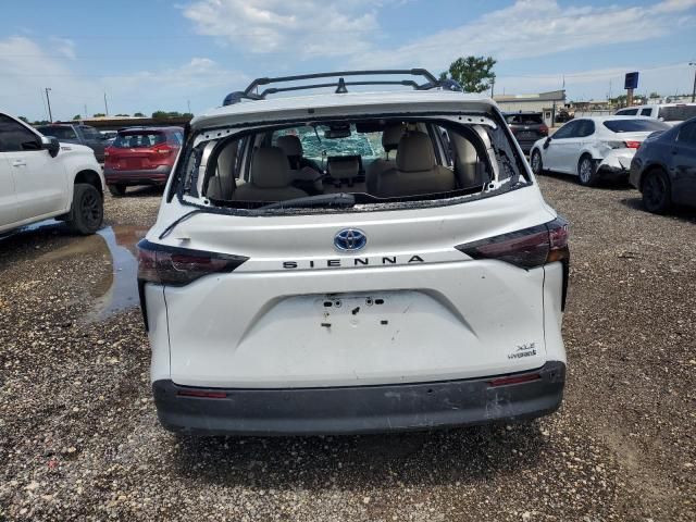 2023 Toyota Sienna XLE