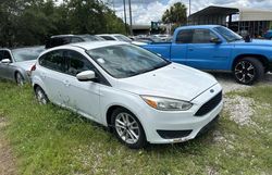 Ford Focus se salvage cars for sale: 2015 Ford Focus SE