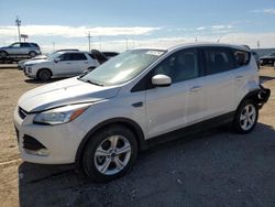 Salvage cars for sale at Greenwood, NE auction: 2013 Ford Escape SE