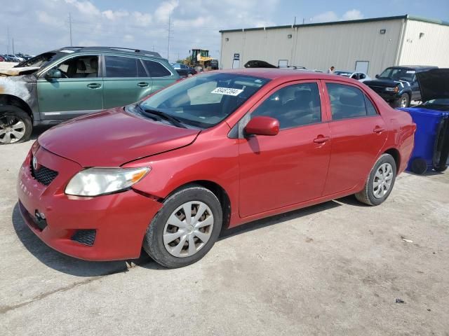 2010 Toyota Corolla Base