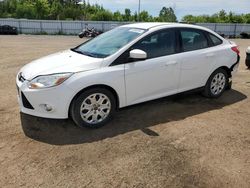 Ford salvage cars for sale: 2012 Ford Focus SE