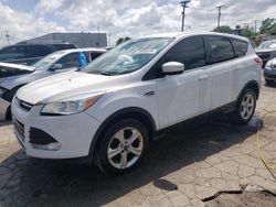 Salvage cars for sale at Chicago Heights, IL auction: 2014 Ford Escape SE