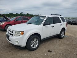 Ford Escape Hybrid salvage cars for sale: 2010 Ford Escape Hybrid