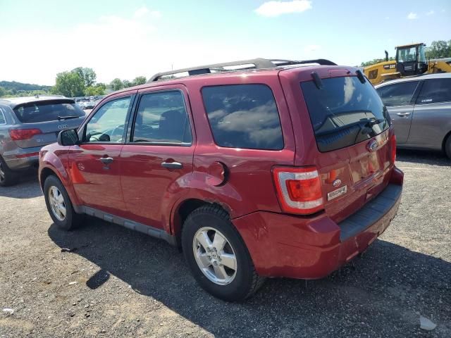 2011 Ford Escape XLT