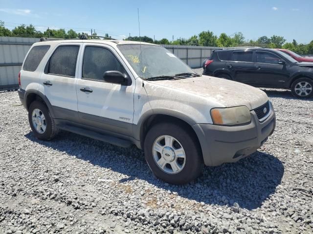 2001 Ford Escape XLT