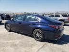 2024 Lexus ES 350 Base