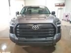 2024 Toyota Tundra Crewmax SR