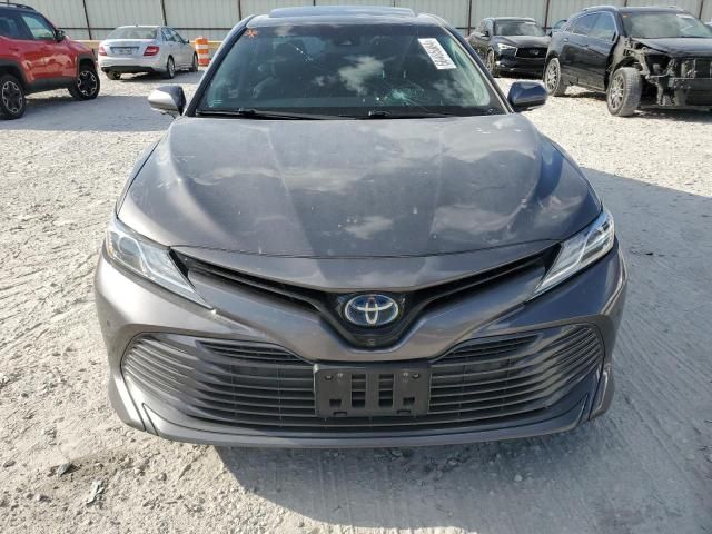 2019 Toyota Camry Hybrid