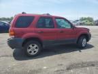 2005 Ford Escape XLT