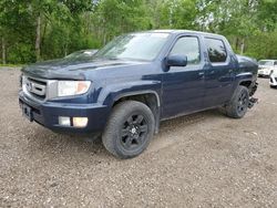 Salvage cars for sale from Copart Ontario Auction, ON: 2010 Honda Ridgeline RTL