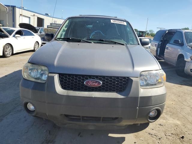 2007 Ford Escape XLT