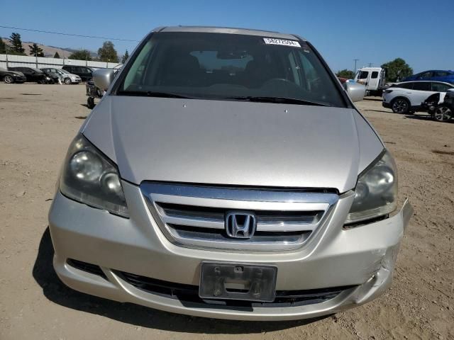 2005 Honda Odyssey EXL