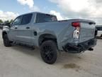 2024 Chevrolet Silverado K1500 Trail Boss Custom