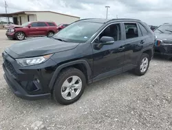 Salvage cars for sale from Copart Temple, TX: 2021 Toyota Rav4 XLE